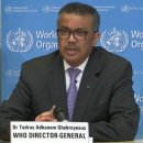 팜그린약국 이미지