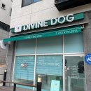 디바인독(DIVINE DOG) | 용인 기흥 동백 - 강아지 반려동물 미용 미용실 목욕 스파 머드팩 아토피