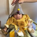 성진빌딩 | 1] 7개월 전부터 준비하는 돌잔치 - 성북송재 / 데이비드갤러리 / 릴리밸리 / 성진이모 / 브러쉬앤꼬리빗