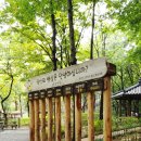 개화산 진입로 이미지