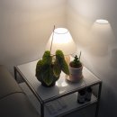 노원-공릉-3182 | 공릉 태릉입구 꽃집 식물가게 그래시룸에서 반려식물 입양 후기