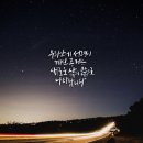 사람 그리고 새 Daum카페