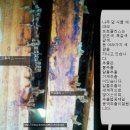 (가격다운) @ 프로폴리스 원괴 @ 판매합니다 .담금용 . ＜프로폴리스 오리지널 ＞ 천연 항생제. (가격다운) 이미지