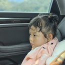 전주 근교 아이랑 가기 좋은 계곡 워터 슬라이드 완주 운주 &#34;법용유원지&#34; 내돈내산 솔직후기