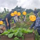 풀빛향기송정마을 이미지