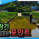 터미날낚시 이미지