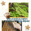 주식회사 드림팜