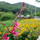 남구-108 이미지