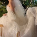 씨유천안신부스타점 | <WEDDING> 청주/천안 JM웨딩 본식 웨딩드레스 피팅 가봉 후기! 할인받을 수 있는 방법 공유!