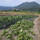 자연공인중개사사무소 이미지