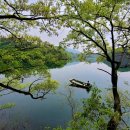 생거진천행정사 이미지