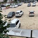 대성세무회계 이미지