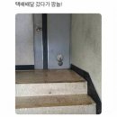 키헤이 웍스 | 삼성동직장인 점심으로 시작해서 삼천포로 빠지는 일기