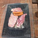 에스엠동강시스타 포레스트 | 동강시스타리조트 바베큐 현실 리뷰와 실전 팁 | 연기와 낭만 사이, 그래도 최고였던 이유