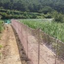 남부면사무소 이미지