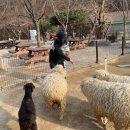 만기목장 이미지