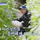 임하농장 이미지