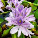 자연누리 이미지