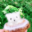 꿍어뭉님 _ 라떼냥