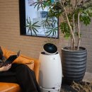 웰니스 펫뷰티 | 아이즈매거진에서 본 혁신적인 AI 웰니스 로보틱스 나무엑스(NAMUHX) 후기!