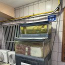 벌집삼겹살 하남점 | 밀양 맛집 단체 회식 고민 끝! 한돈·한우 다 되는 [하남고깃집 밀양시청본점]