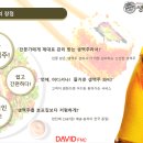 비어파티