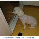 훅