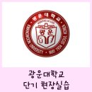 SNK-VITAMIN센터 | [광운대학교] 방학 인턴 :: 단기 현장실습 신청 방법 &amp; 후기