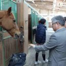 축산랜드 이미지