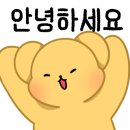 이니씨오