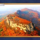 태조한의원 네이버블로그