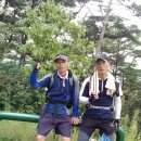 클린숲충남