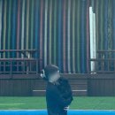 도그플레이스 | 용인 반려견 수영장_여기다댕댕이 골드펫도그베이(+준비물)