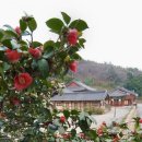 [77차] 시월에 떠나는 남도 답사 - 미황사 괘불재 / 강진 이미지
