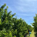 윤경농장 이미지