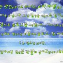 원조산호숯불아나고 이미지