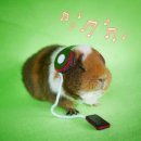 주당도가 네이버블로그