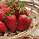 양산농장 이미지