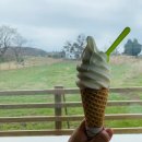 대평 목장 이미지