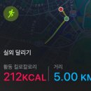 D-day 웨딩일기라고 쓰고 다이어트 일지라고 읽는다