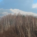 산청(통영) 이미지