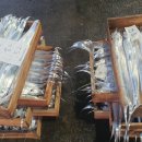 고대1078 이미지