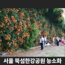 뚝섬한강공원-70 이미지