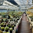 흙사랑 다육식물농원 이미지