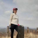 고동치 Daum카페