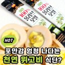 BD사이언스 천연 위고비 식단 삶은계란 올리브오일 조합 후기