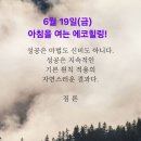 에코건강