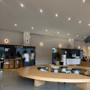 (상하)개화목장 | 구례 지리산치즈랜드 수선화 개화현황 및 주말 주차정보, 카페구만 주말후기