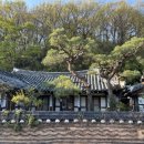 난초다실 이미지