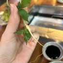안산 고잔동 장어로 회식하기 좋은 맛집 / 장어 맛집 &lt;풍천장어대감&gt;